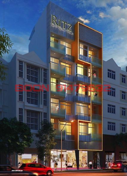 Ritz @ Farrer (D8), Apartment #84859962